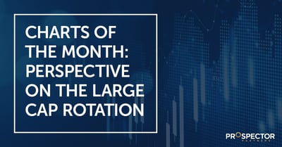 Charts of the Month: Perspective on the Large Cap Rotation